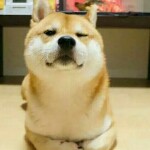 美人公子