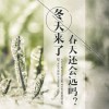 終究夢一場海报