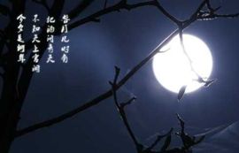 童泡泡oO主播照片