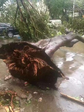 你把绝情给了动情地我主播照片