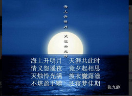 梨花不再期待主播照片