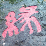 微信_4042499