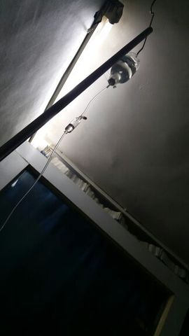 心旧~主播照片