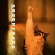 严猫猫