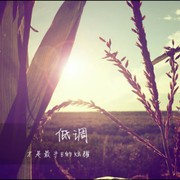 微信_4285424