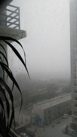 ♬摇滚吧╰☆玲儿姐主播照片