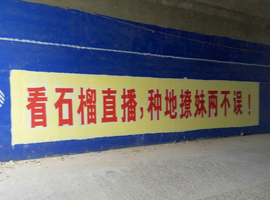 2025☃东北小哥主播照片