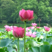 微信_5025440的头像
