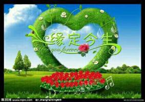 爱你已成❤我的习惯的主播照片