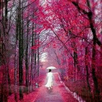 爱你已成❤我的习惯的主播照片