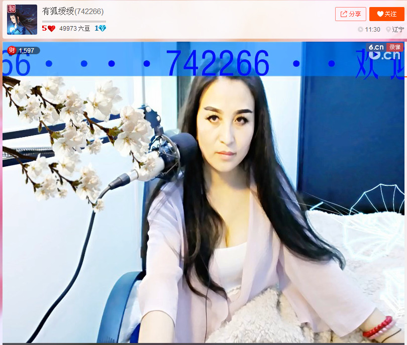 亲切家族的图片