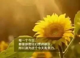 多言多语.主播照片