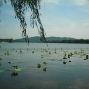 微信_5428366海报