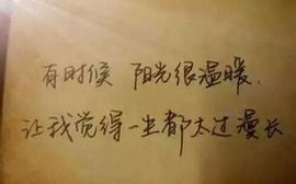 ∠※相惜主播照片