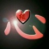 —LIKE^_^爱