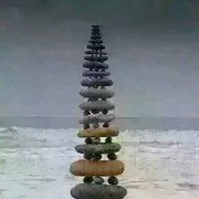 乱窜的蟑螂
