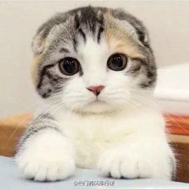 小乔儿💕主播照片