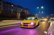 小罗籽