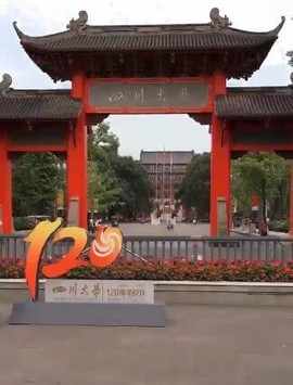 彬彬有礼、主播照片