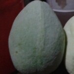 曼曼の笨蛋