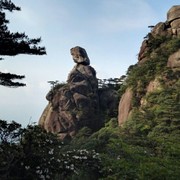 微信_6428278