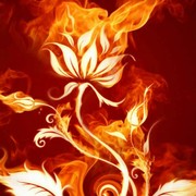 微信_6501202海报