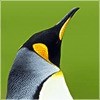 夏の伤恋