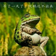 旗鱼的兔子海报