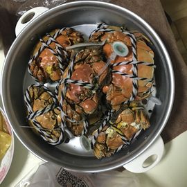 安妮没人疼主播照片