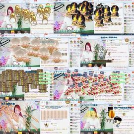 ☂客家甜心金牌代理☂主播照片