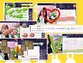 ㊣╬═ღღ宋小歪ルo主播照片