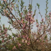 上线领星星海报