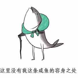 饼饼........主播照片
