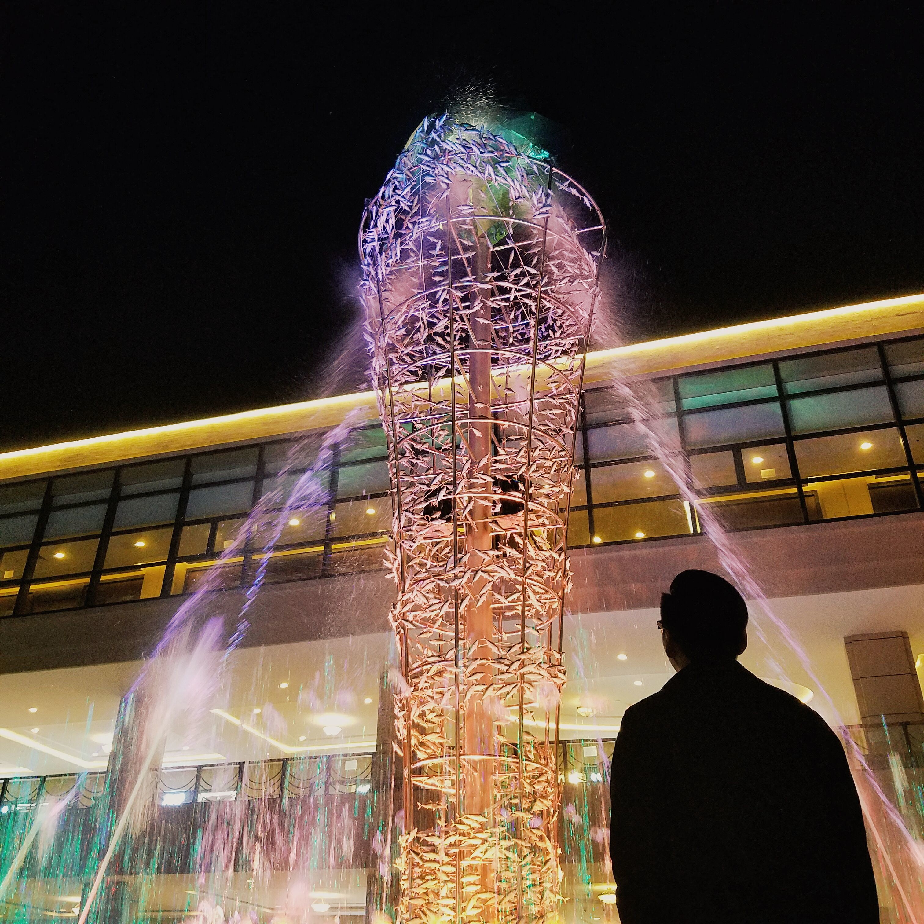 风吹小麦浪*的主播照片