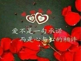 河南林夕❤加油啊主播照片