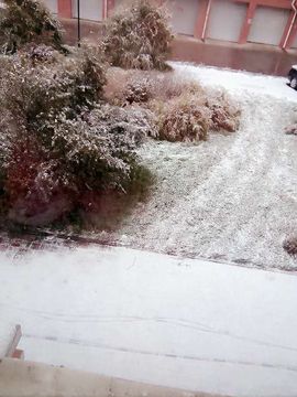 蕊蕊休息主播照片