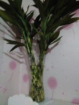 ∠※相惜主播照片
