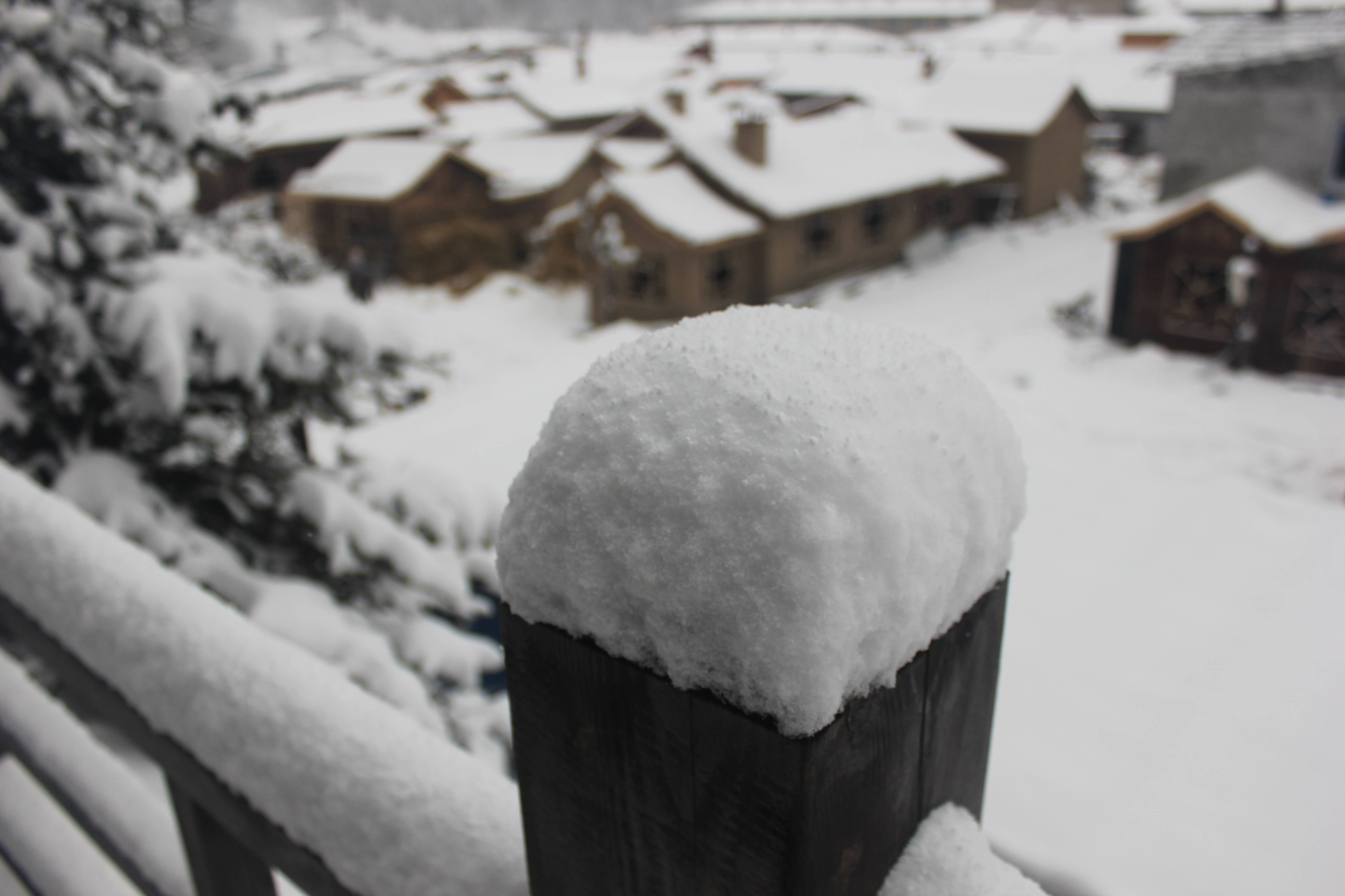 雪乡户外小帅的主播照片