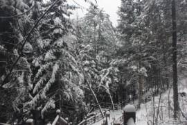 雪乡户外小帅主播照片