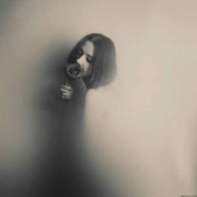 叶若散尽迎冬来海报