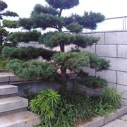 记住一定要坚持