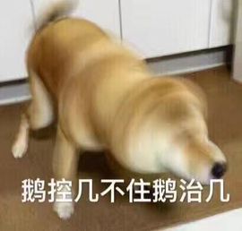 橙子江湖再见啦！主播照片