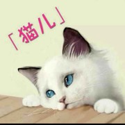 猫儿&amp;