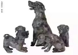 杰宝：主播照片