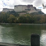 勇闯天涯oi