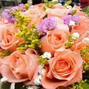 💕唯愛💕