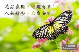 梦一样的自由主播照片