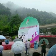 平安是福vd