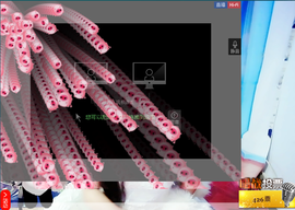 气质小神经~主播照片