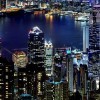 陶文清海报